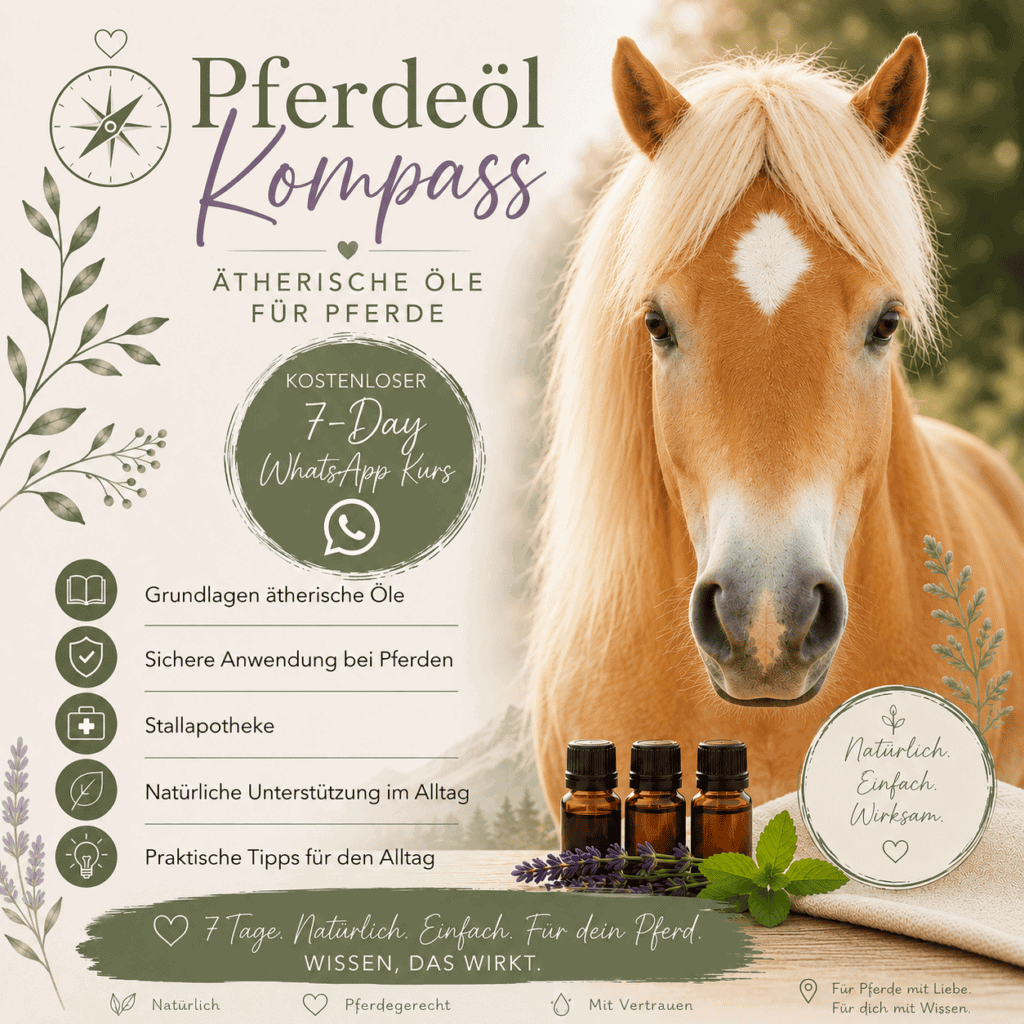 Untitled design Promotional poster for horse essential oils course: Pferdeöl Kompass, with a horse on the right, botanical icons, and a circular leaflet offering a free 7-day WhatsApp course on horse care basics.