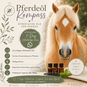 Promotional poster for horse essential oils course: Pferde&ouml;l Kompass, with a horse on the right, botanical icons, and a circular leaflet offering a free 7-day WhatsApp course on horse care basics.